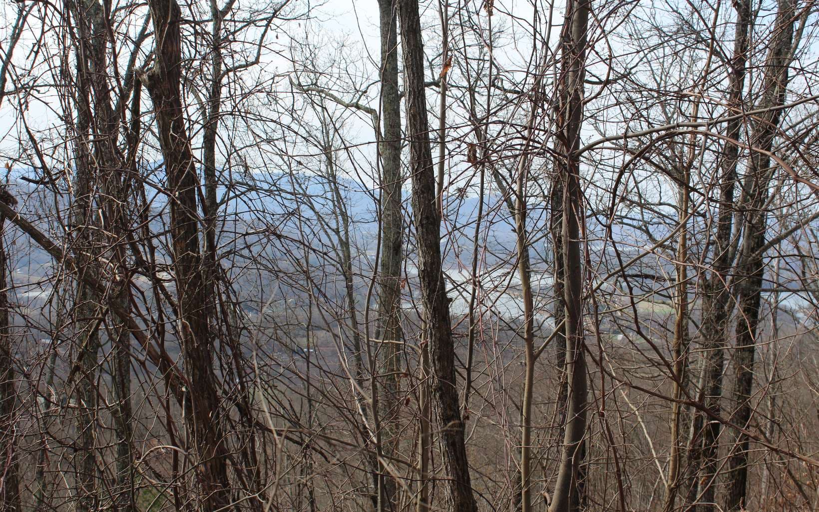 LT 11 The Pinnacle, Hayesville NC 28904 - Photo