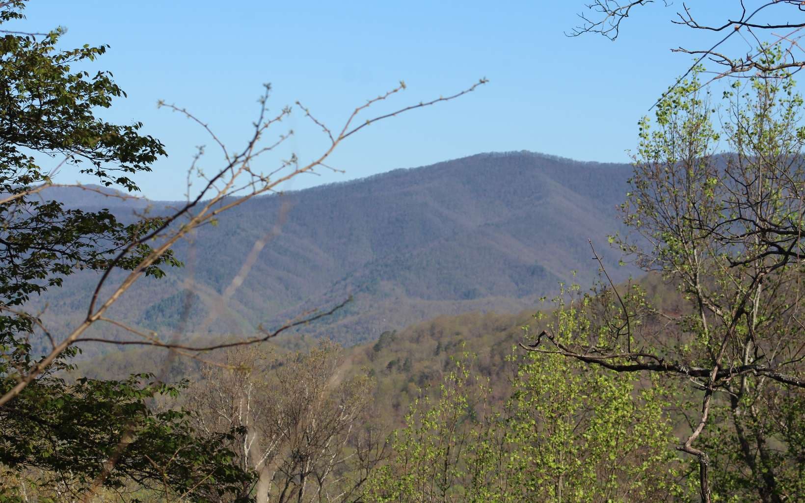 LT 11 The Pinnacle, Hayesville NC 28904 - Photo