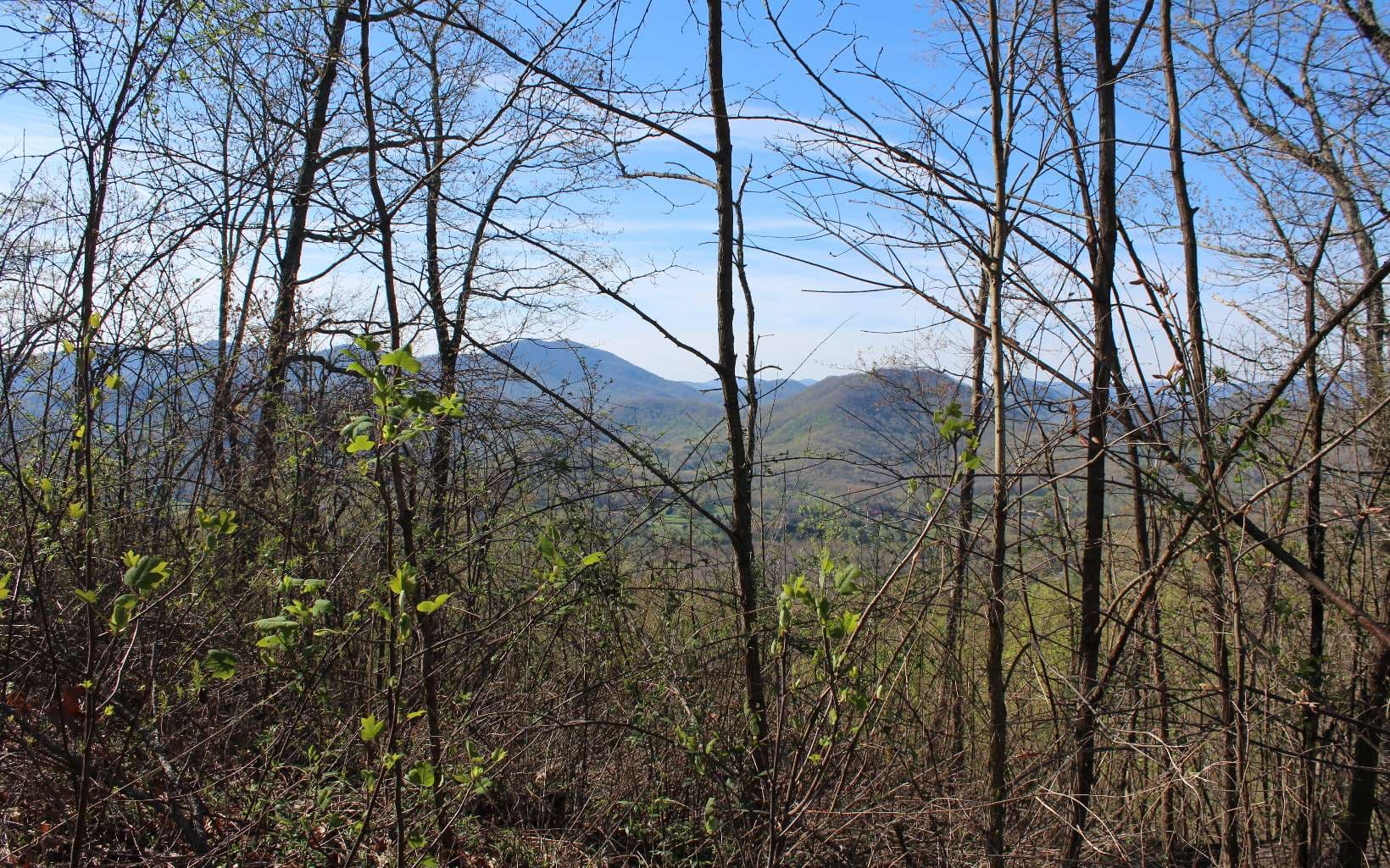LT 13 The Pinnacle, Hayesville NC 28904 - Photo