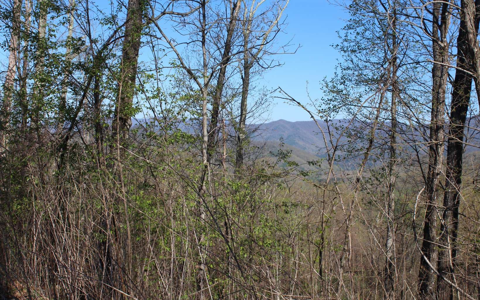 LT 13 The Pinnacle, Hayesville NC 28904 - Photo