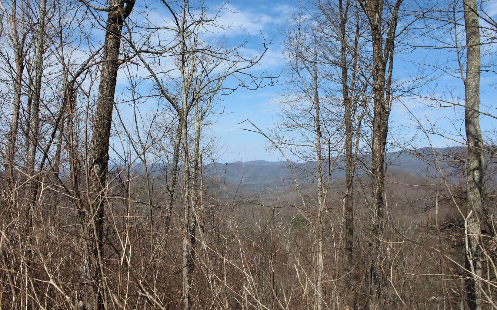 LT 13 The Pinnacle, Hayesville NC 28904 - Photo