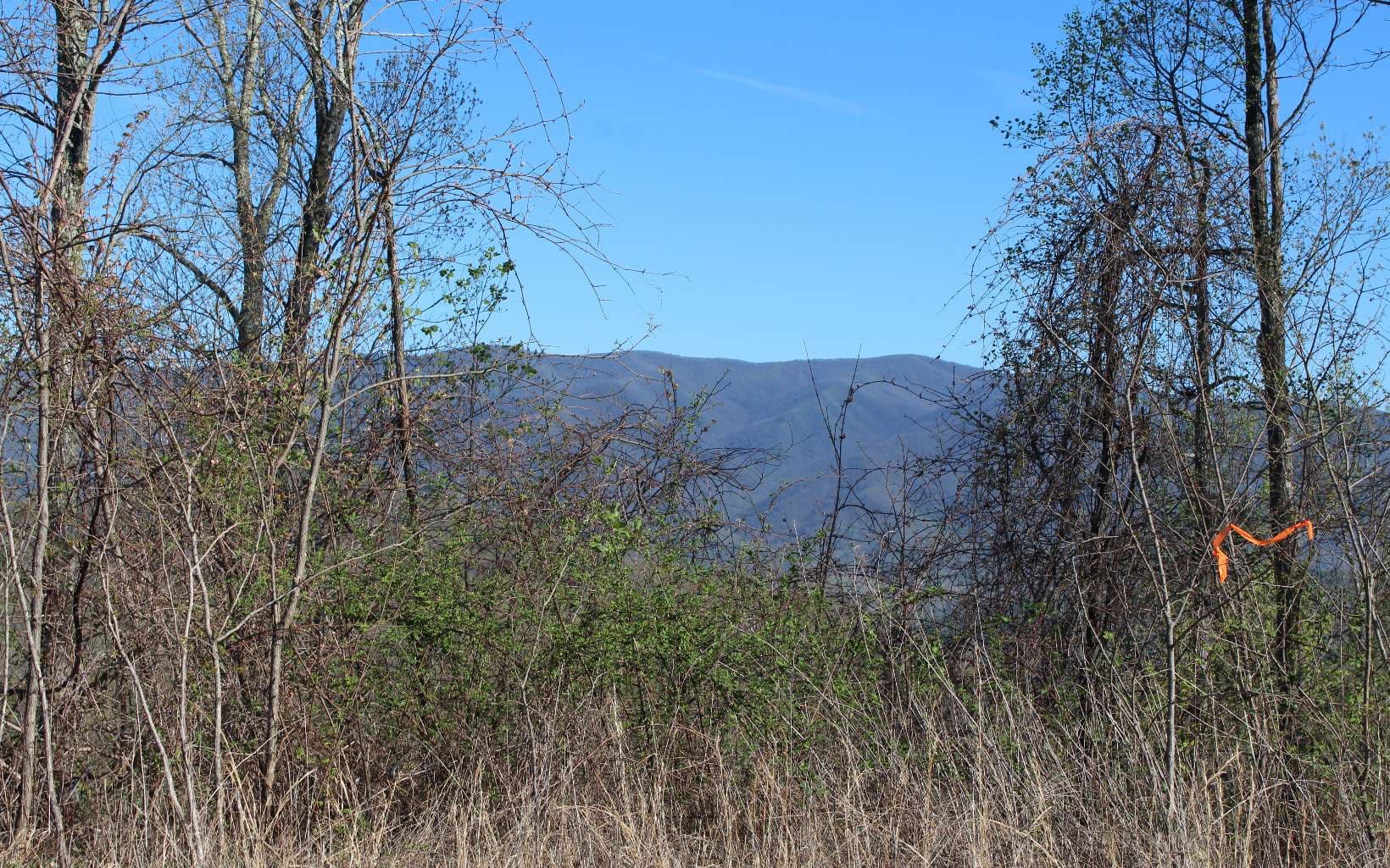 LT 13 The Pinnacle, Hayesville NC 28904 - Primary photo