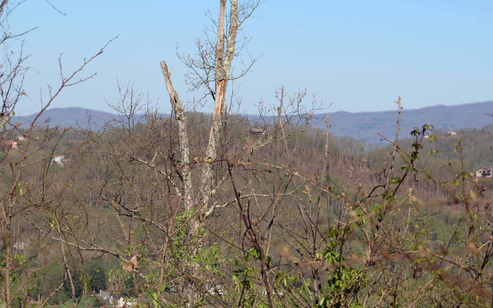 LT 13 The Pinnacle, Hayesville NC 28904 - Photo
