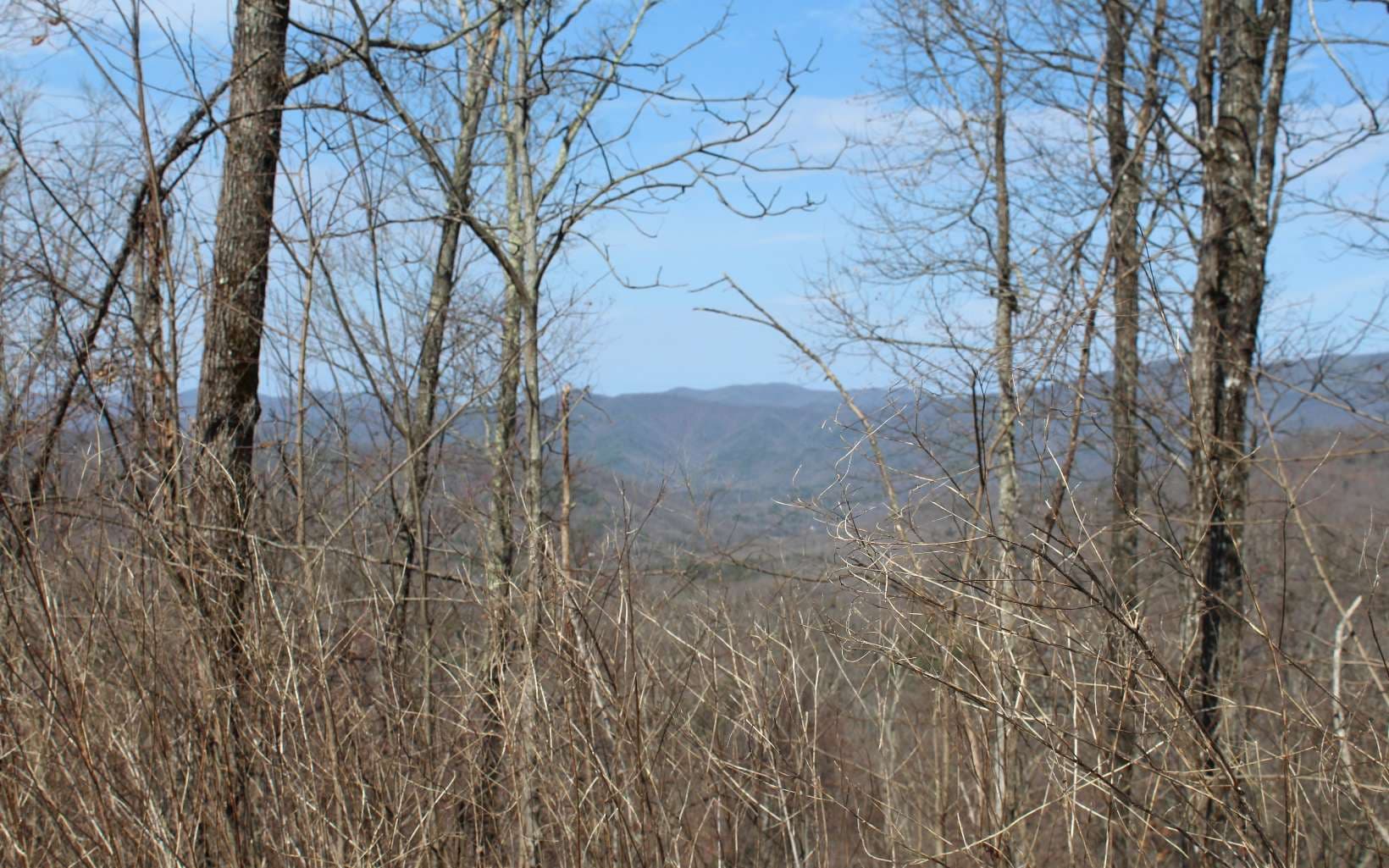 LT 13 The Pinnacle, Hayesville NC 28904 - Photo