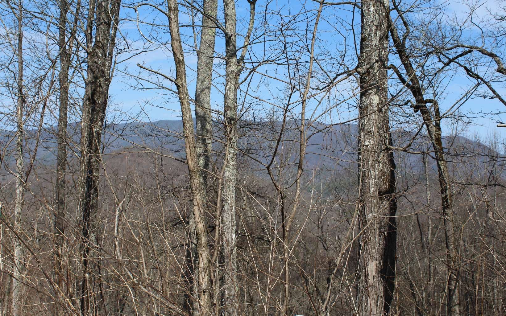 LT 13 The Pinnacle, Hayesville NC 28904 - Photo