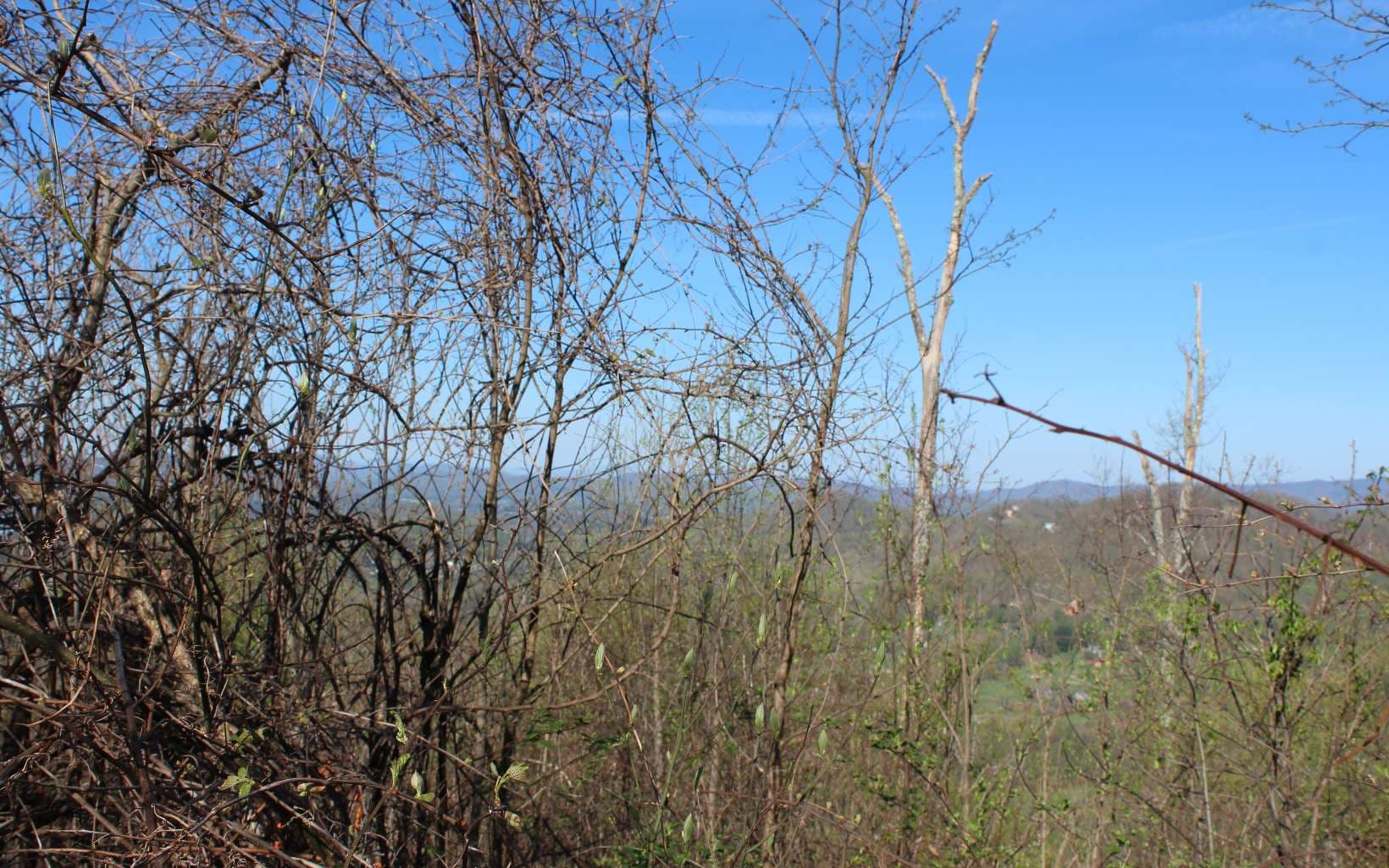 LT 13 The Pinnacle, Hayesville NC 28904 - Photo