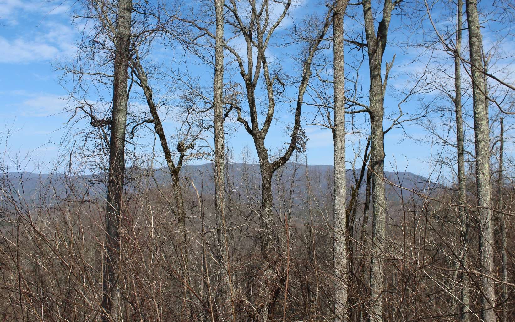 LT 13 The Pinnacle, Hayesville NC 28904 - Photo