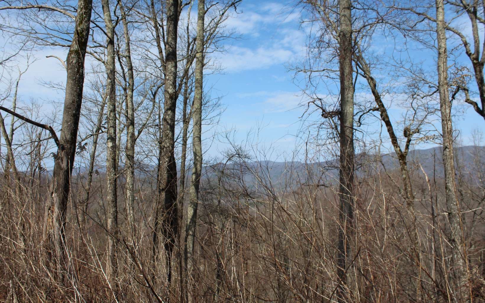 LT 13 The Pinnacle, Hayesville NC 28904 - Photo