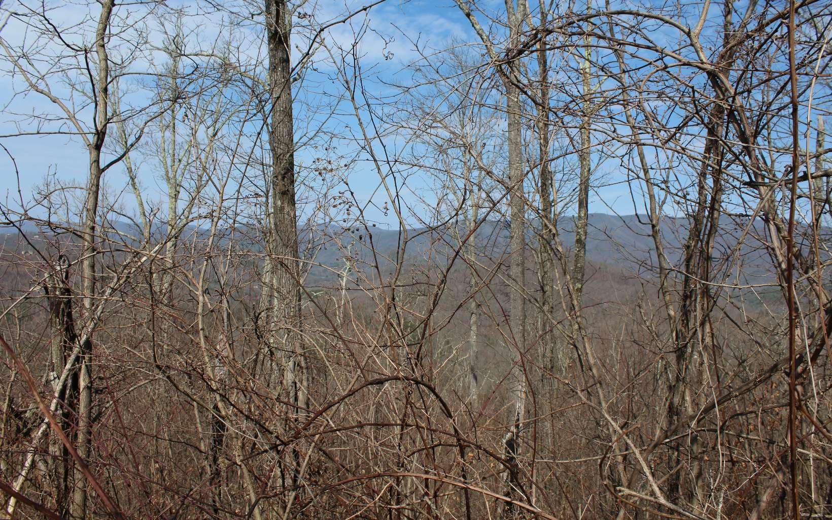 LT 13 The Pinnacle, Hayesville NC 28904 - Photo