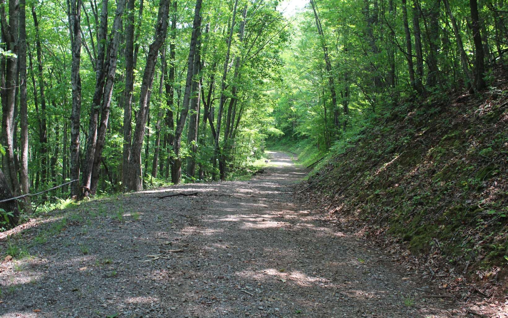 LT 73 Shiloh, Hayesville NC 28904 - Photo