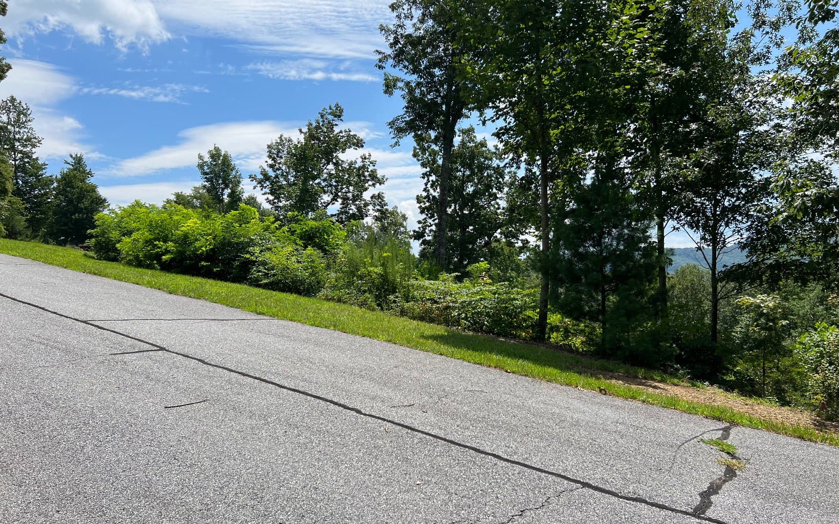 Lot 59 Fires Creek Cove Road, Hayesville NC 28904 - Photo