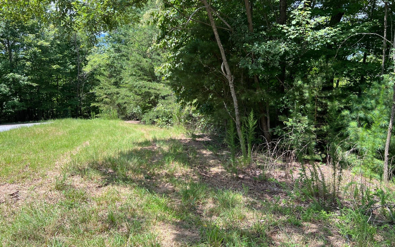 Lot 59 Fires Creek Cove Road, Hayesville NC 28904 - Photo