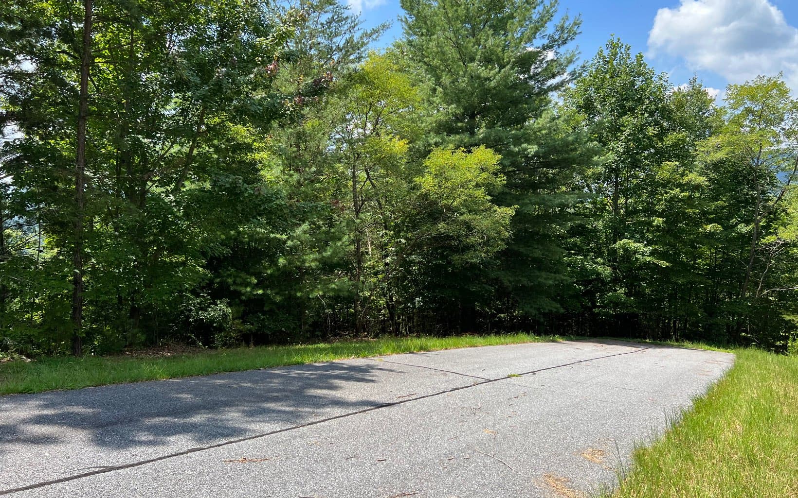 Lot 59 Fires Creek Cove Road, Hayesville NC 28904 - Photo