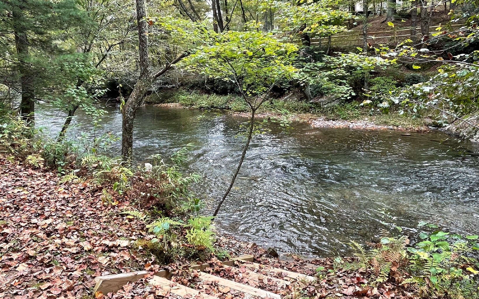 Lot 59 Fires Creek Cove Road, Hayesville NC 28904 - Photo