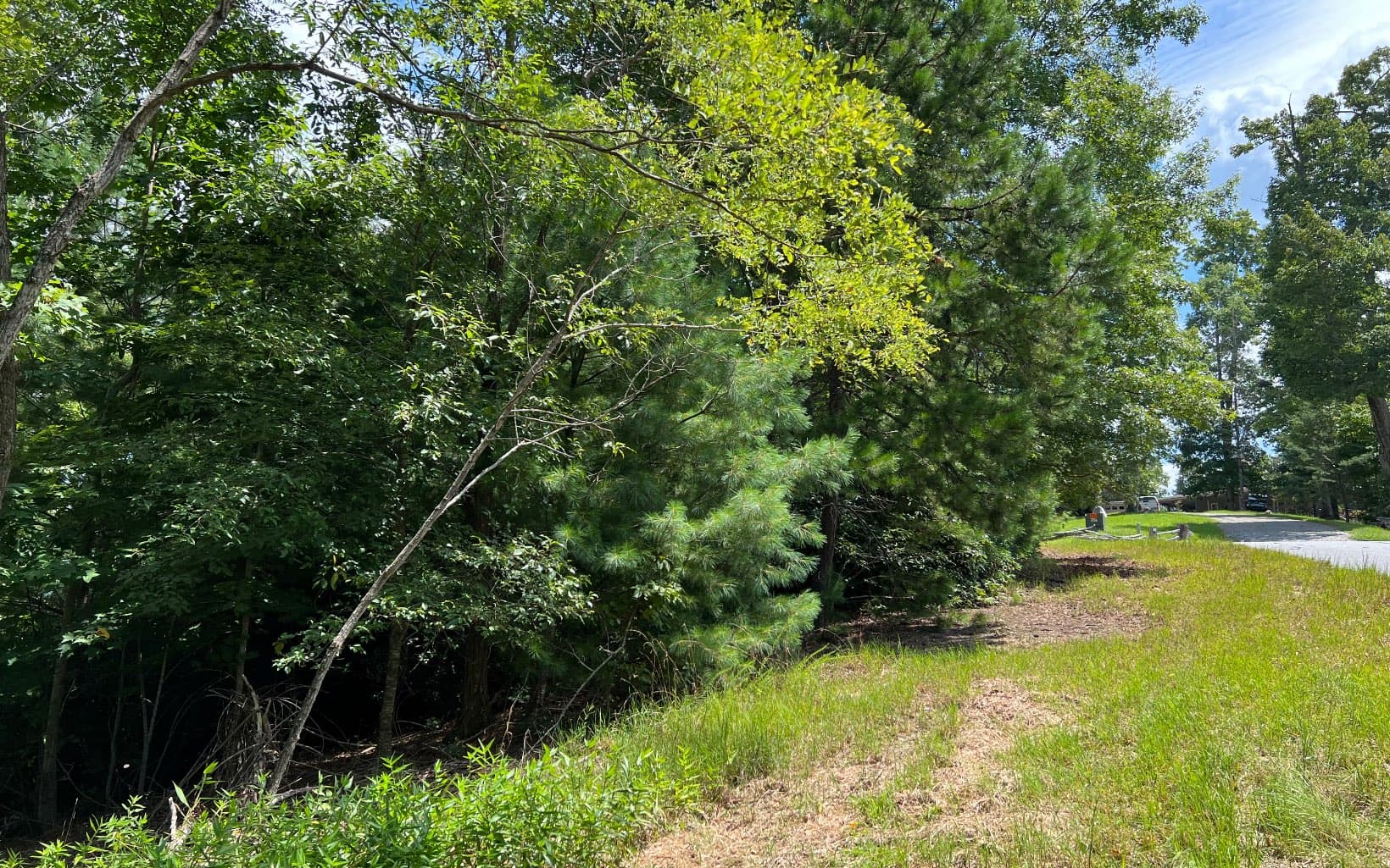 Lot 59 Fires Creek Cove Road, Hayesville NC 28904 - Photo
