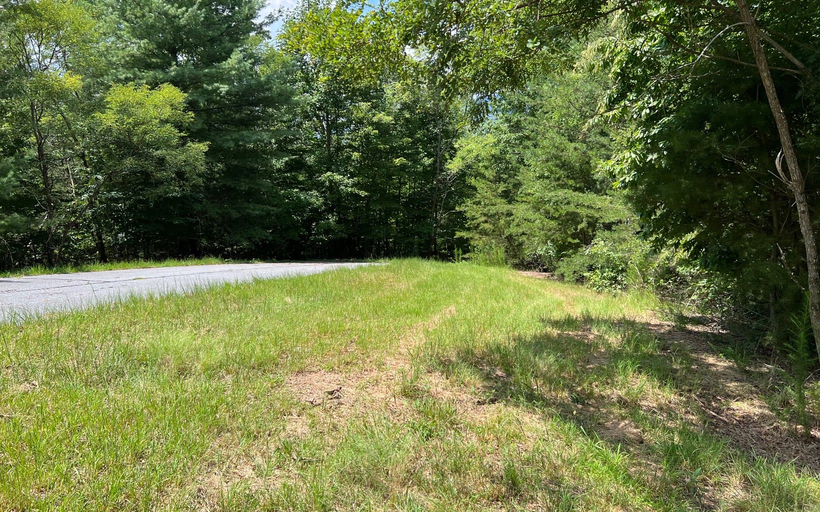 Lot 59 Fires Creek Cove Road, Hayesville NC 28904 - Photo