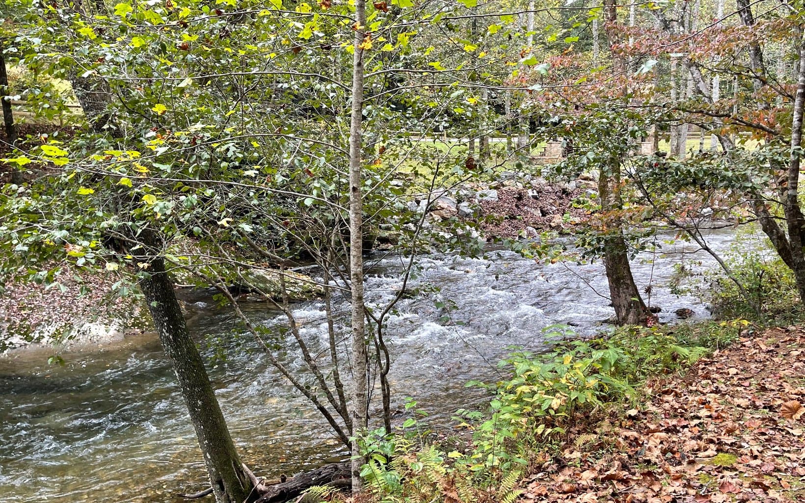 Lot 59 Fires Creek Cove Road, Hayesville NC 28904 - Photo