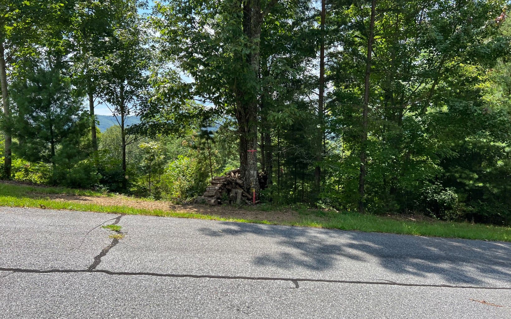 Lot 59 Fires Creek Cove Road, Hayesville NC 28904 - Photo