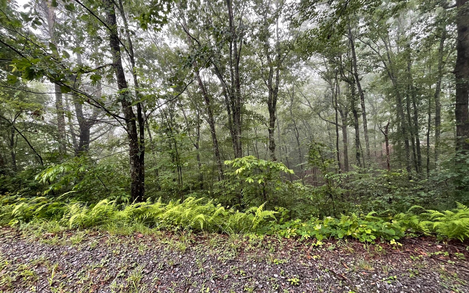 Lot 7 Trillium Heights, Brasstown NC 28902 - Photo