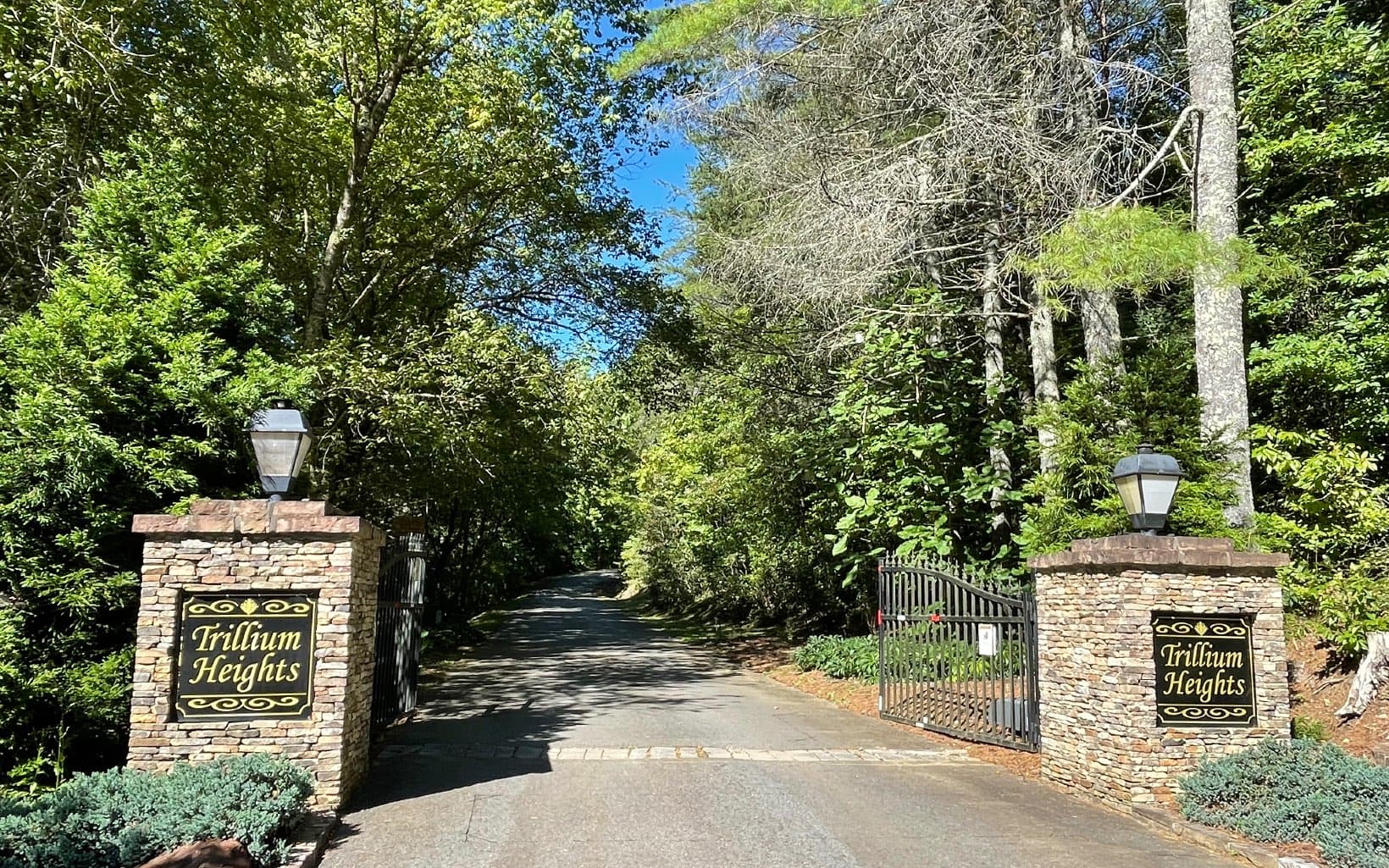 Lot 7 Trillium Heights, Brasstown NC 28902 - Photo