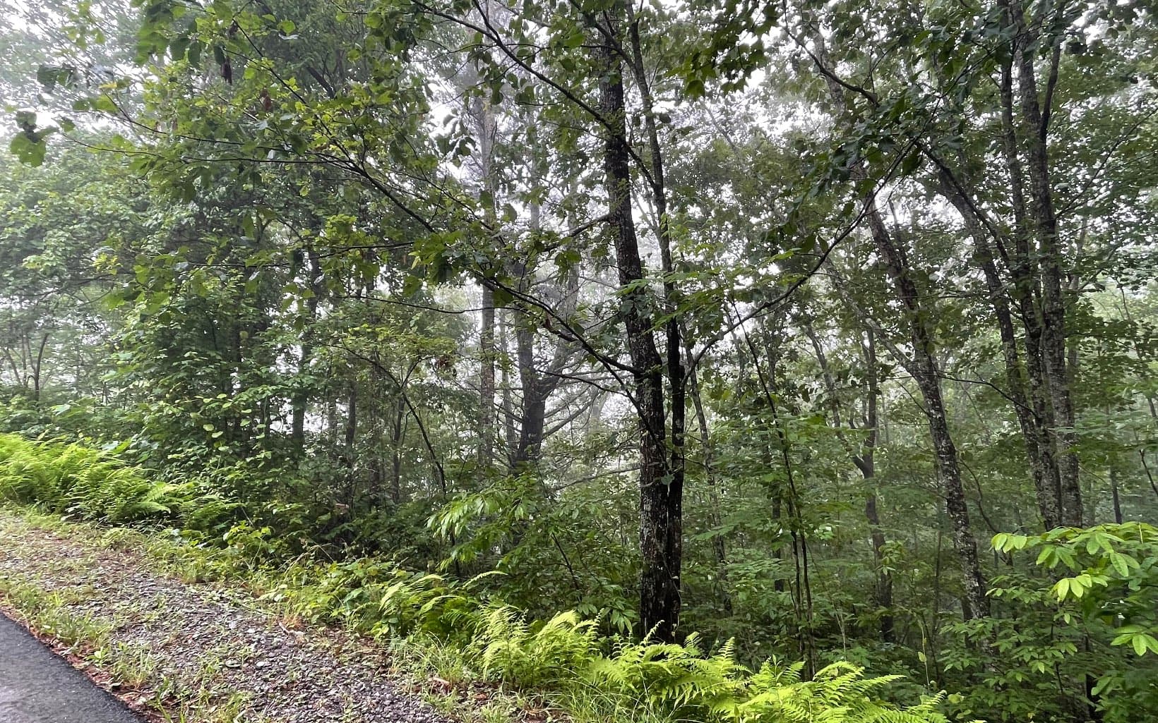 Lot 7 Trillium Heights, Brasstown NC 28902 - Photo
