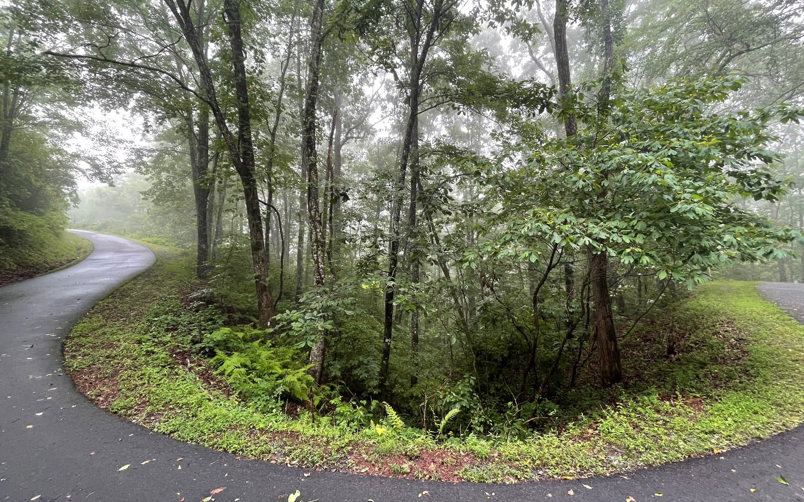 Lot 7 Trillium Heights, Brasstown NC 28902 - Photo