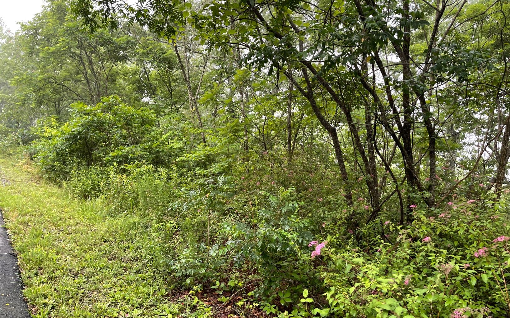 Lot 7 Trillium Heights, Brasstown NC 28902 - Primary photo