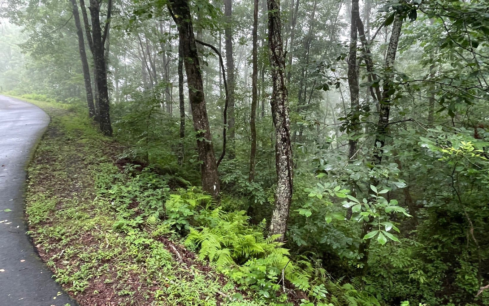Lot 7 Trillium Heights, Brasstown NC 28902 - Photo