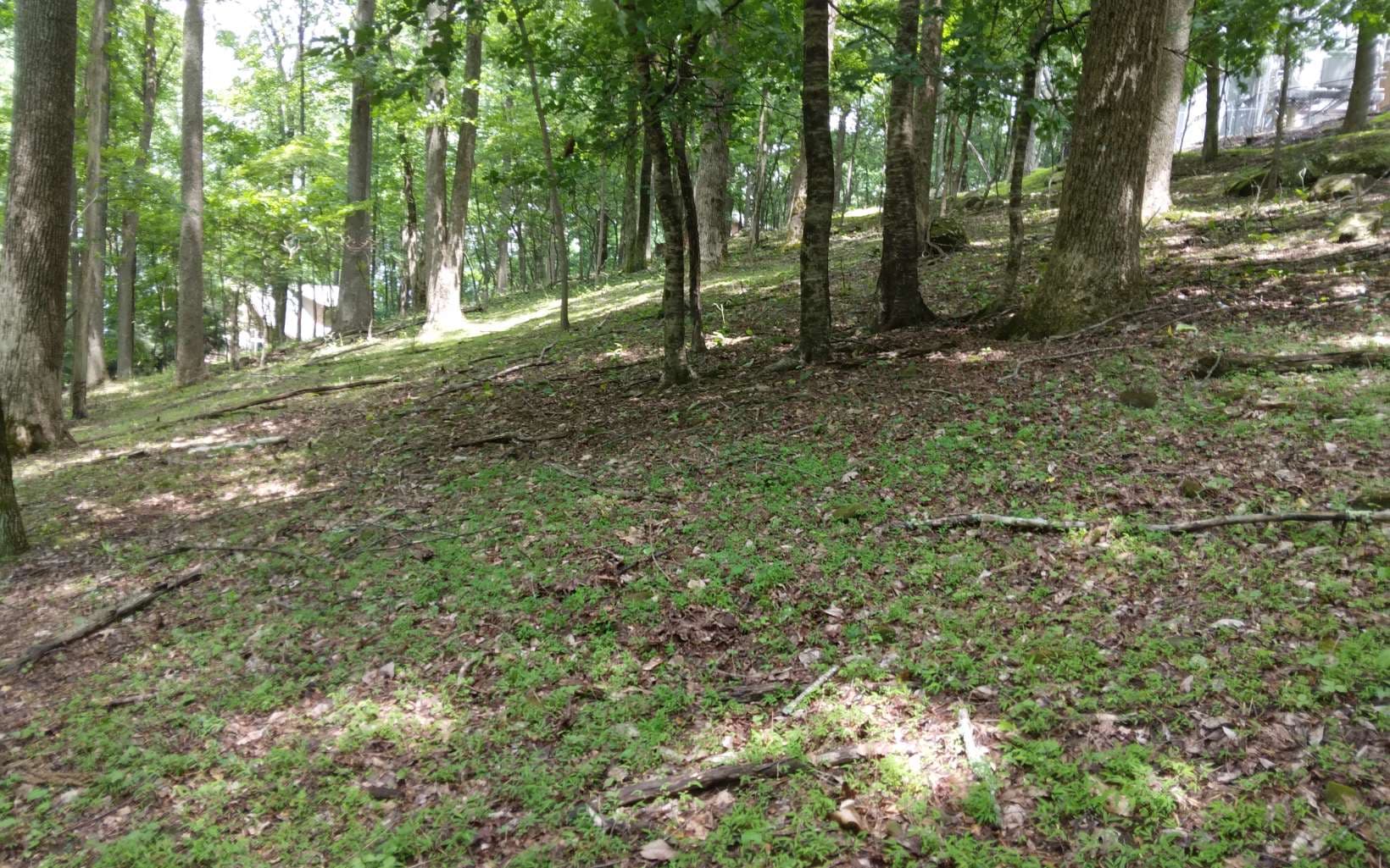 M213 Walnut Ridge, Ellijay GA 30536 - Photo
