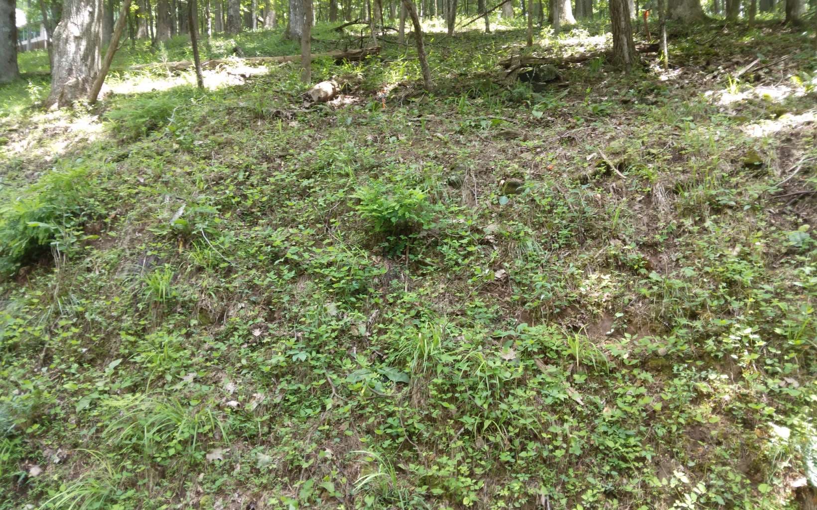 M213 Walnut Ridge, Ellijay GA 30536 - Photo