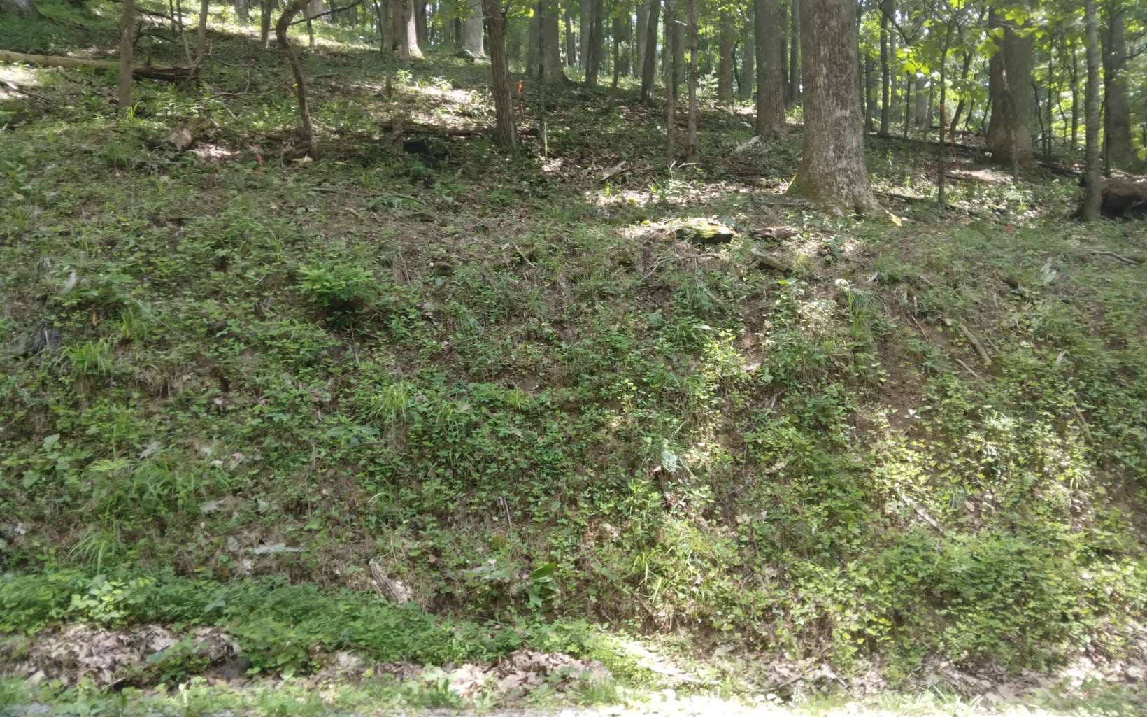 M213 Walnut Ridge, Ellijay GA 30536 - Photo