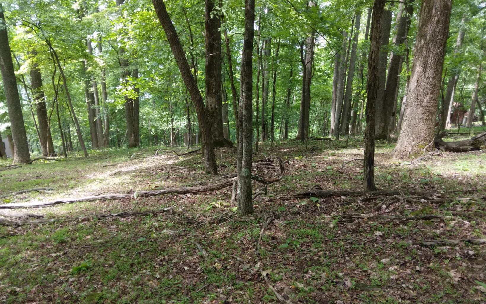 M213 Walnut Ridge, Ellijay GA 30536 - Photo