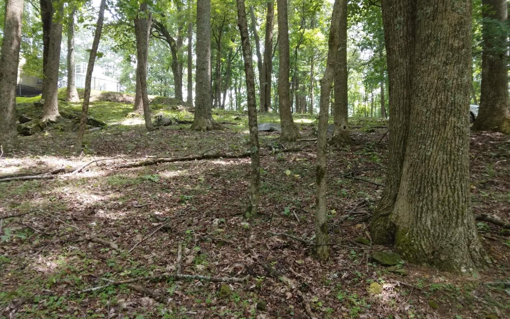 M213 Walnut Ridge, Ellijay GA 30536 - Primary photo