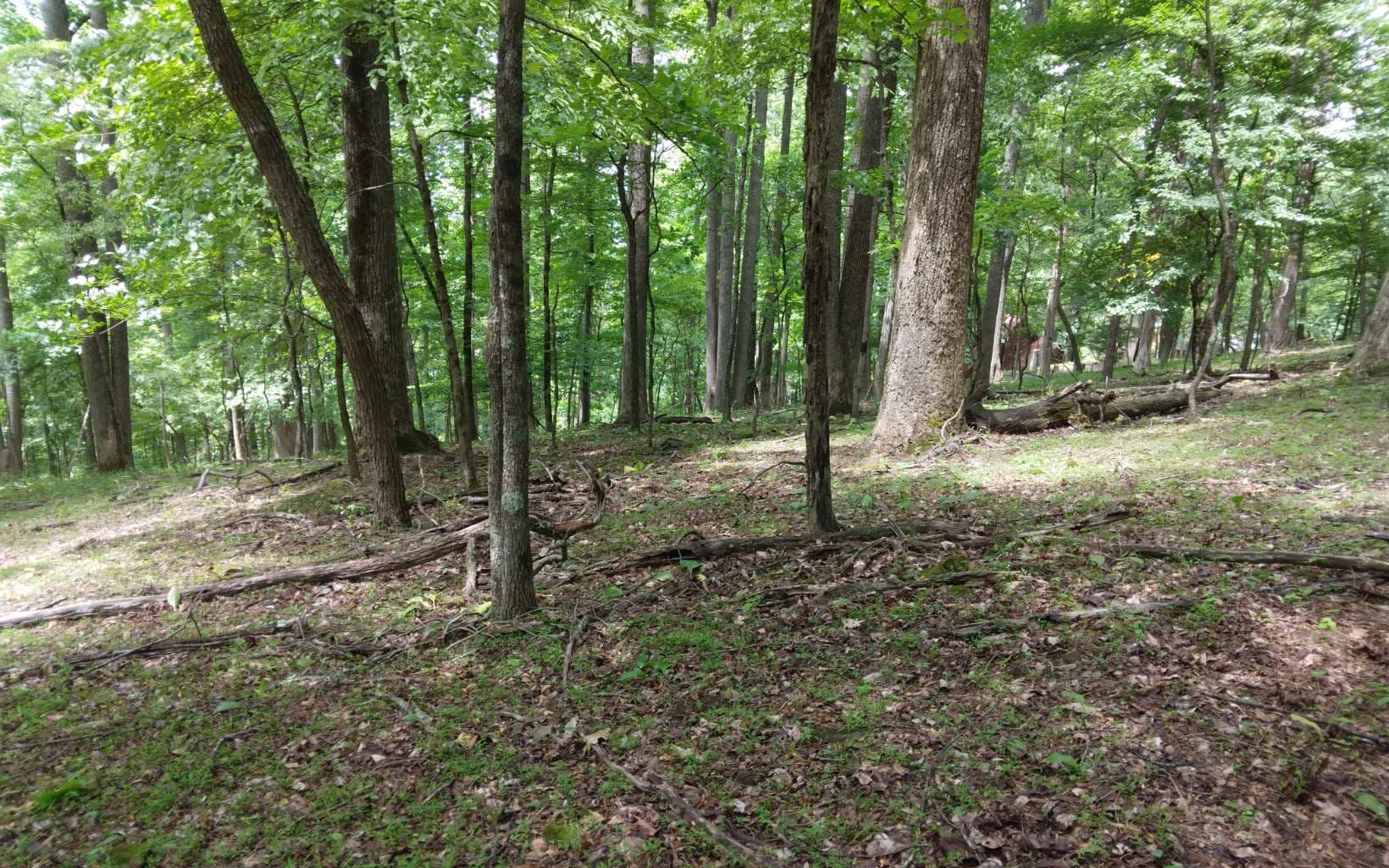 M213 Walnut Ridge, Ellijay GA 30536 - Photo