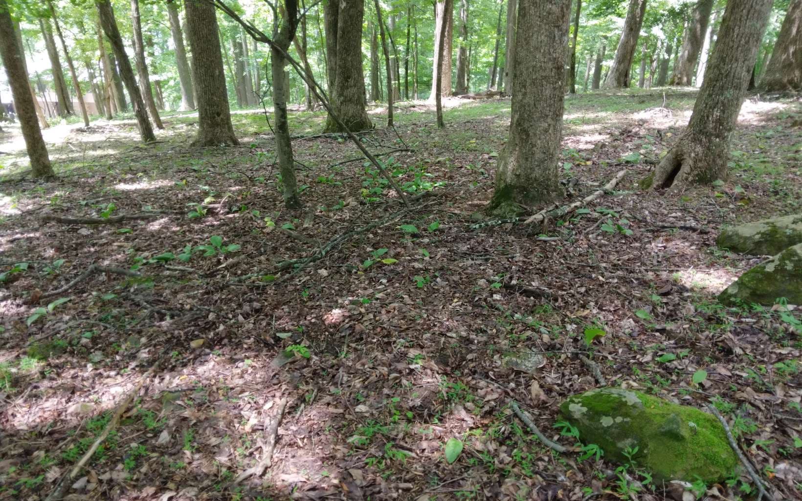 M213 Walnut Ridge, Ellijay GA 30536 - Photo