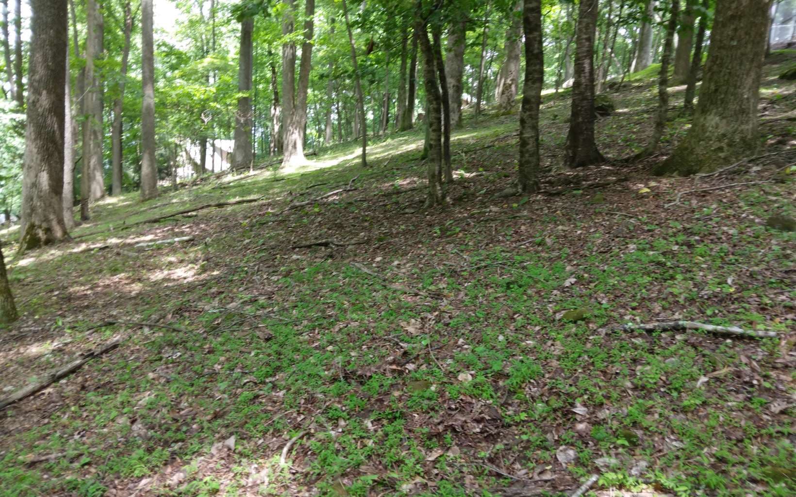 M213 Walnut Ridge, Ellijay GA 30536 - Photo