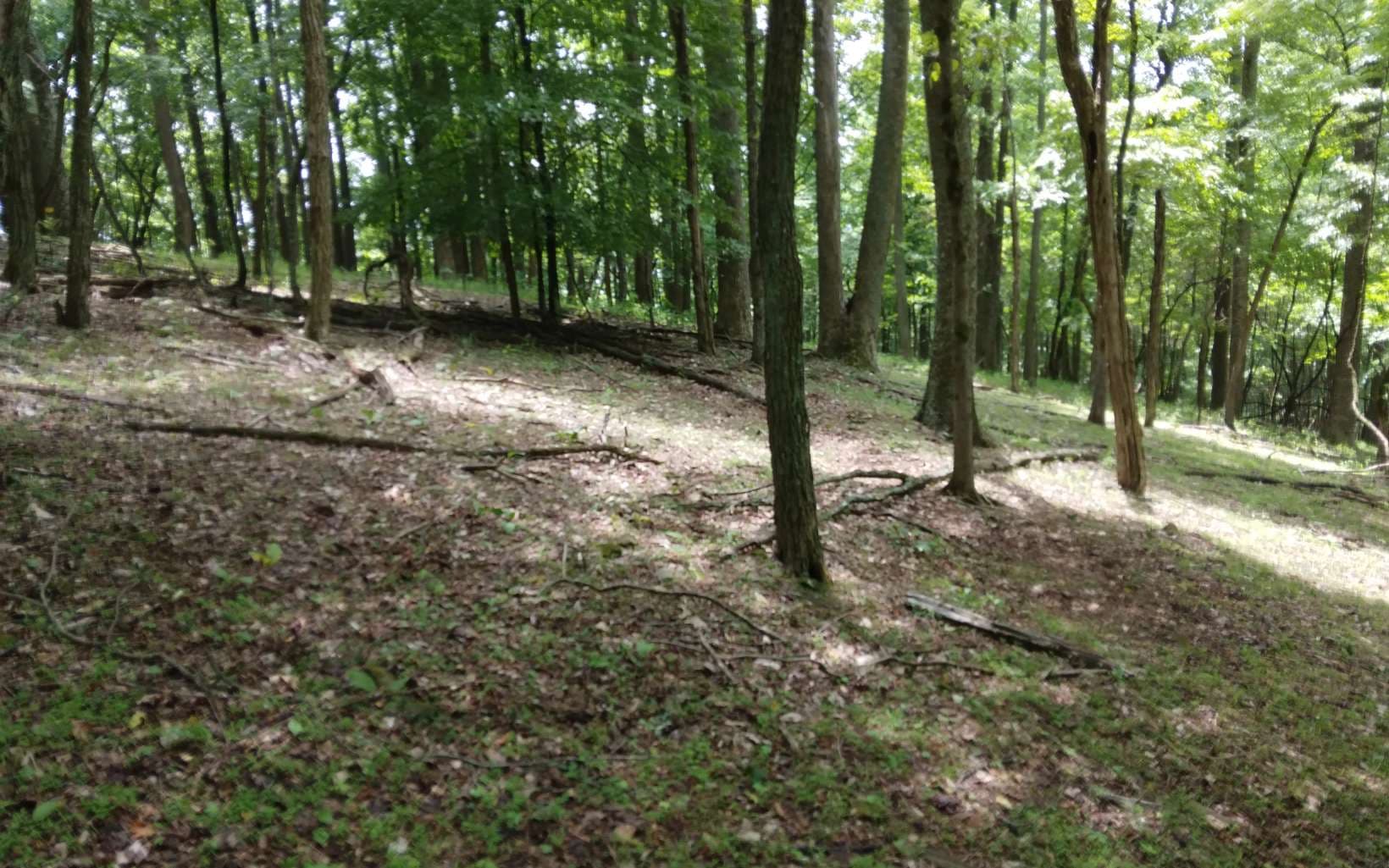 M213 Walnut Ridge, Ellijay GA 30536 - Photo