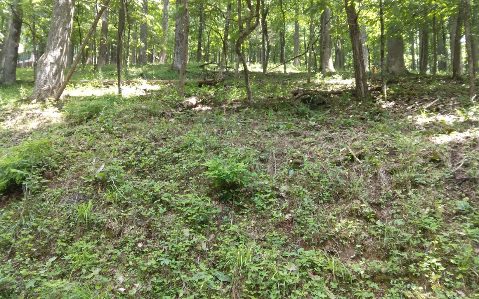 M213 Walnut Ridge, Ellijay GA 30536 - Photo