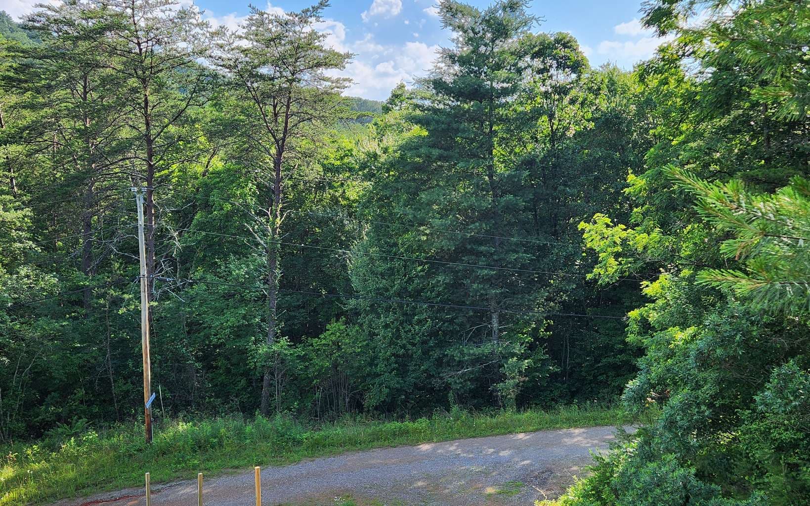3.5AC Sassafras Ridge Road, Turtletown TN 37391 - Photo