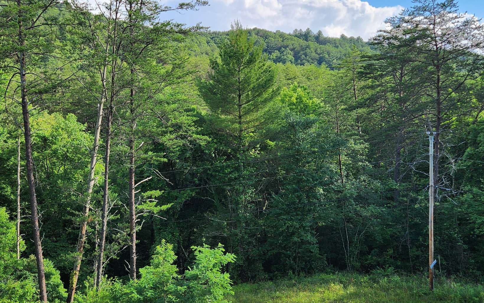 3.5AC Sassafras Ridge Road, Turtletown TN 37391 - Photo