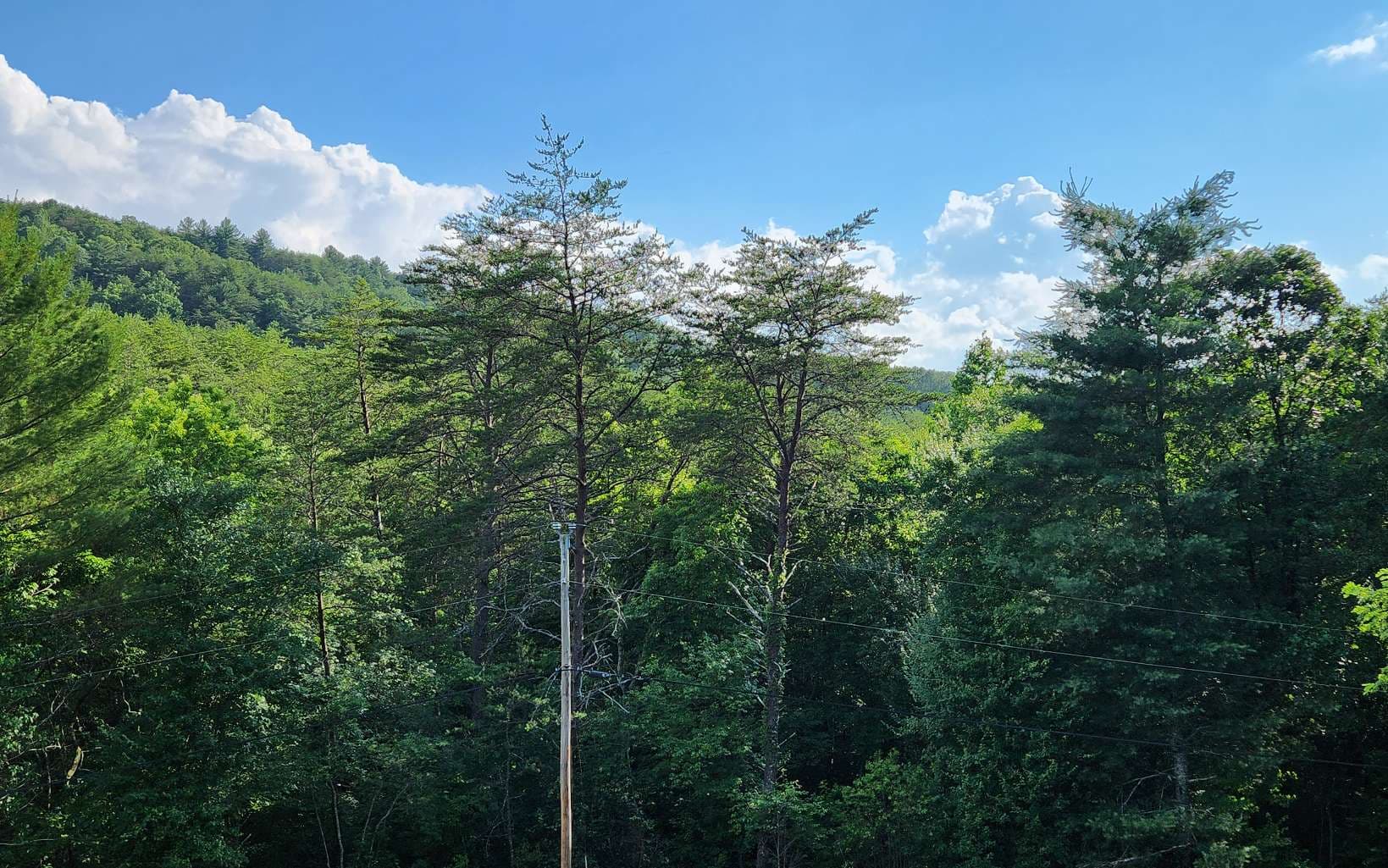 3.5AC Sassafras Ridge Road, Turtletown TN 37391 - Photo