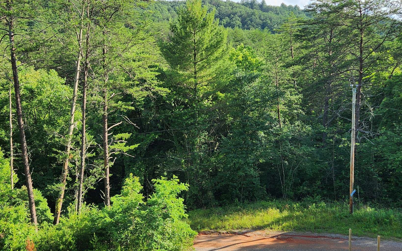 3.5AC Sassafras Ridge Road, Turtletown TN 37391 - Photo