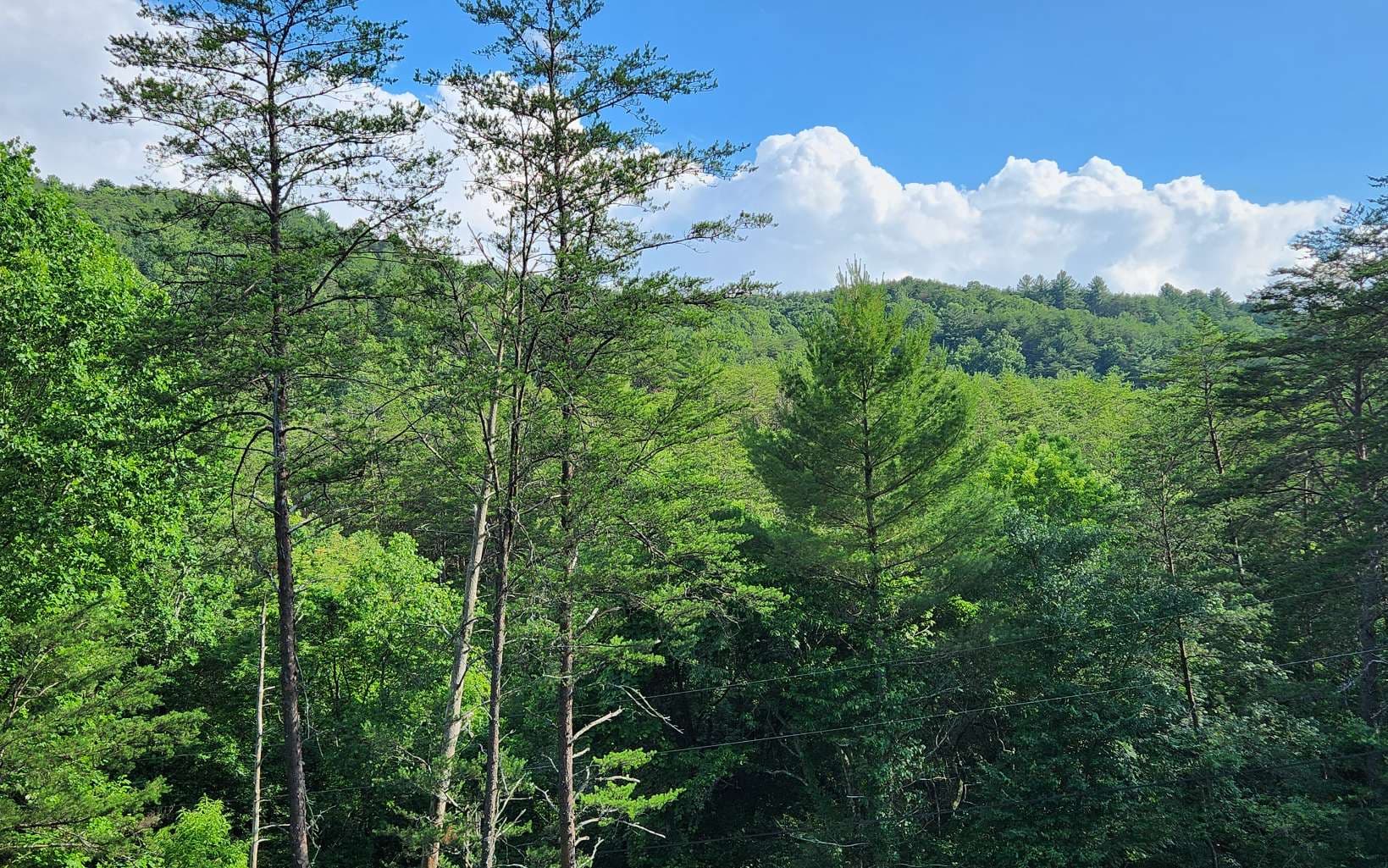 3.5AC Sassafras Ridge Road, Turtletown TN 37391 - Photo