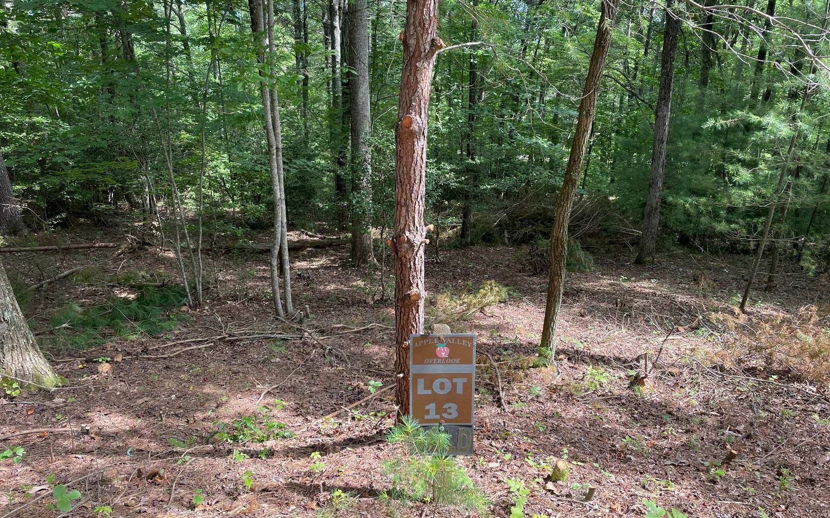 LOT13 Sour Apple Lane, Blairsville GA 30512 - Primary photo
