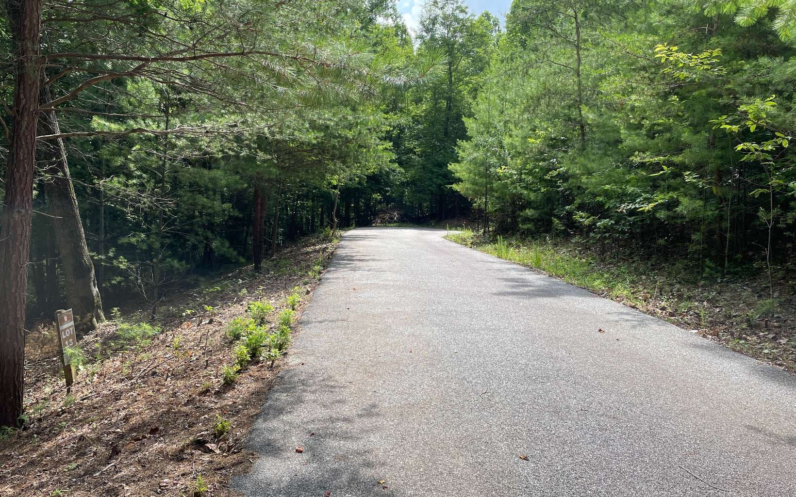 LOT13 Sour Apple Lane, Blairsville GA 30512 - Photo
