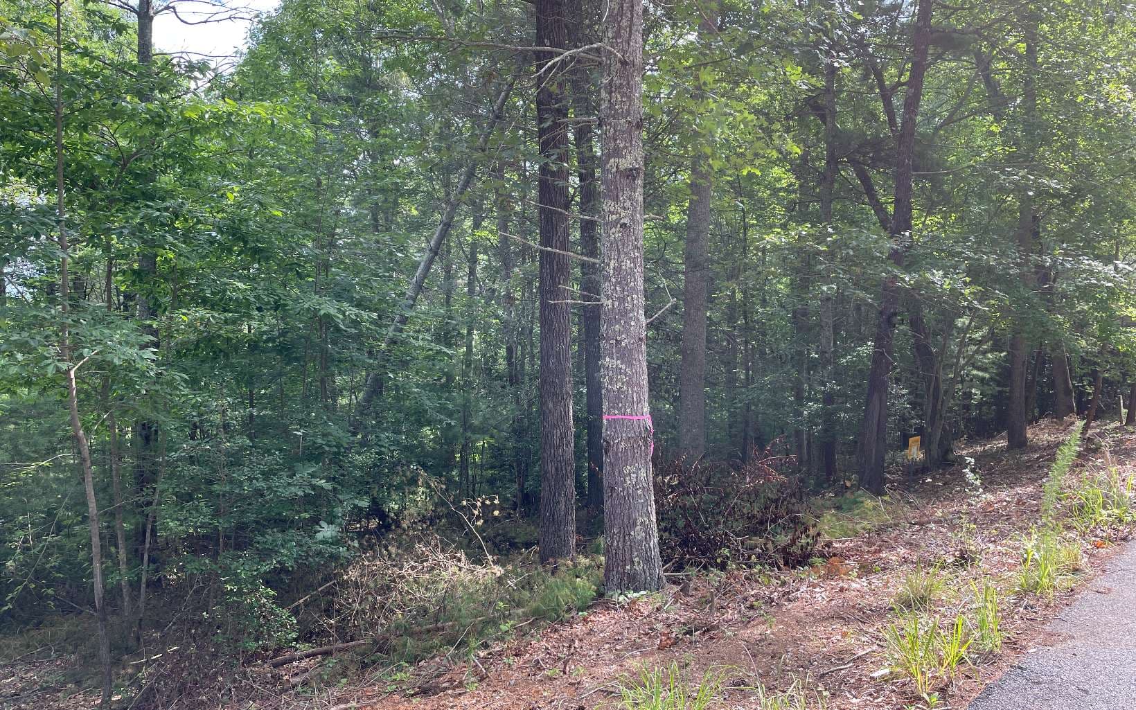 LOT13 Sour Apple Lane, Blairsville GA 30512 - Photo