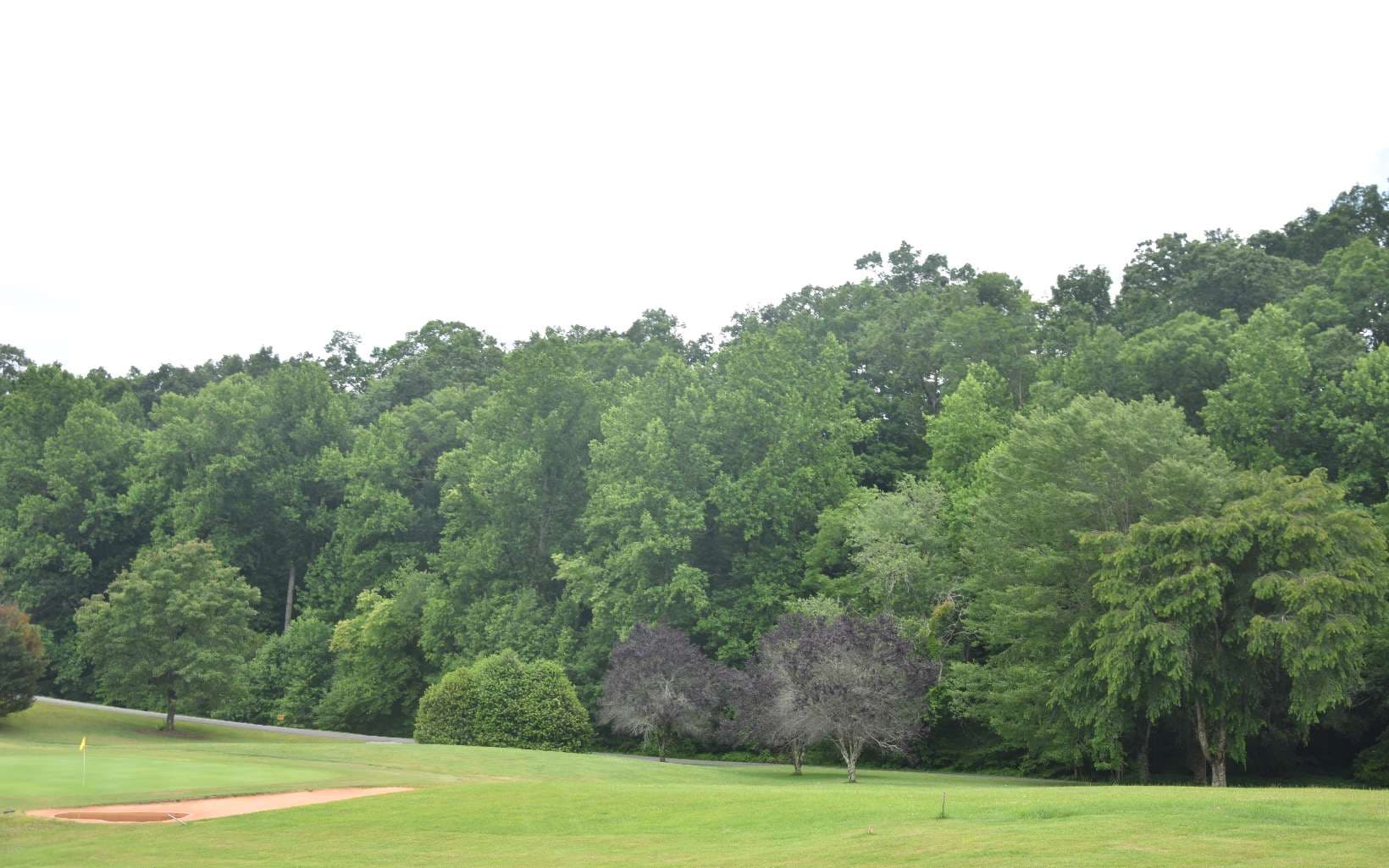 85A Licklog Ridge, Hayesville NC 28904 - Photo