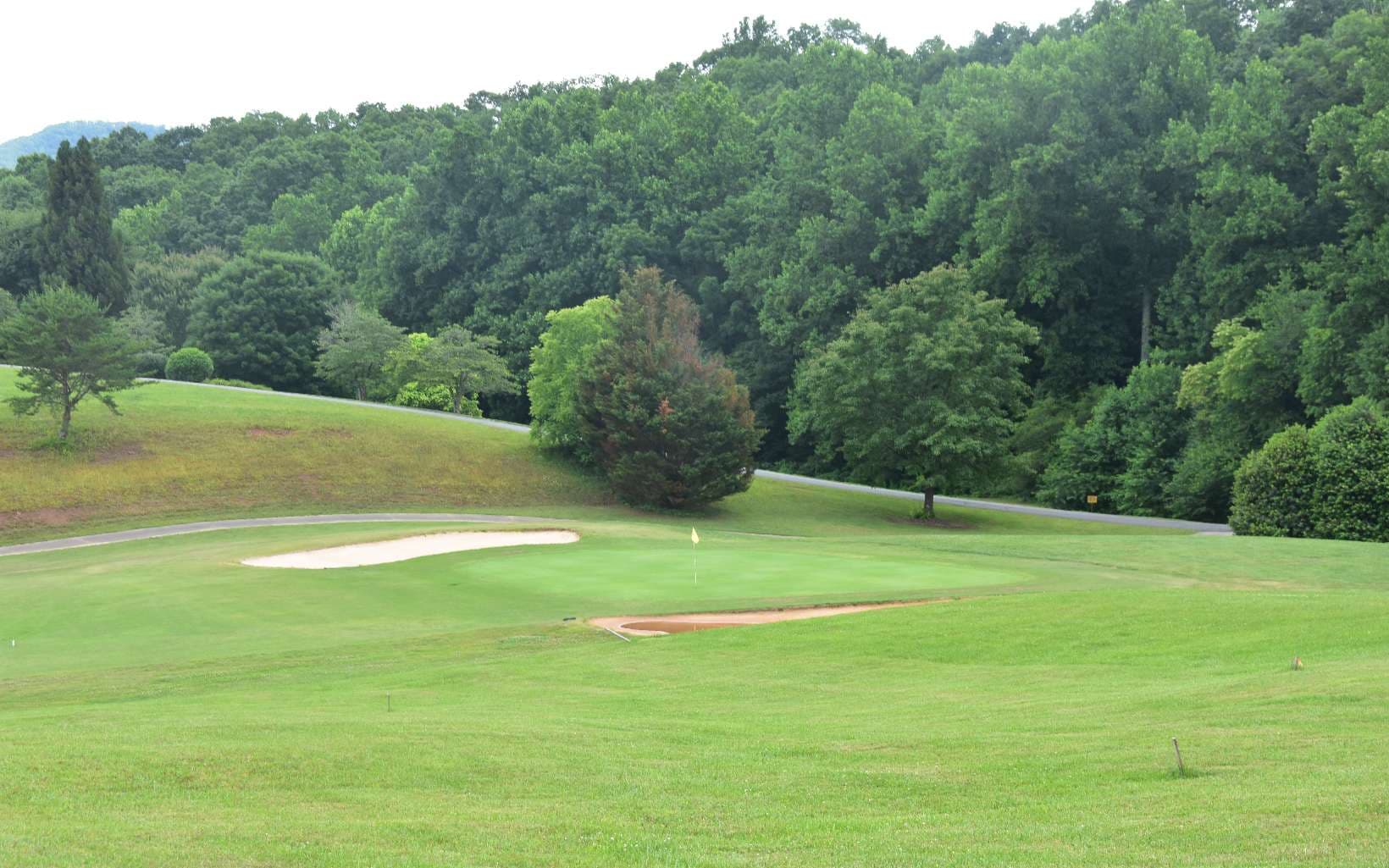 85A Licklog Ridge, Hayesville NC 28904 - Photo