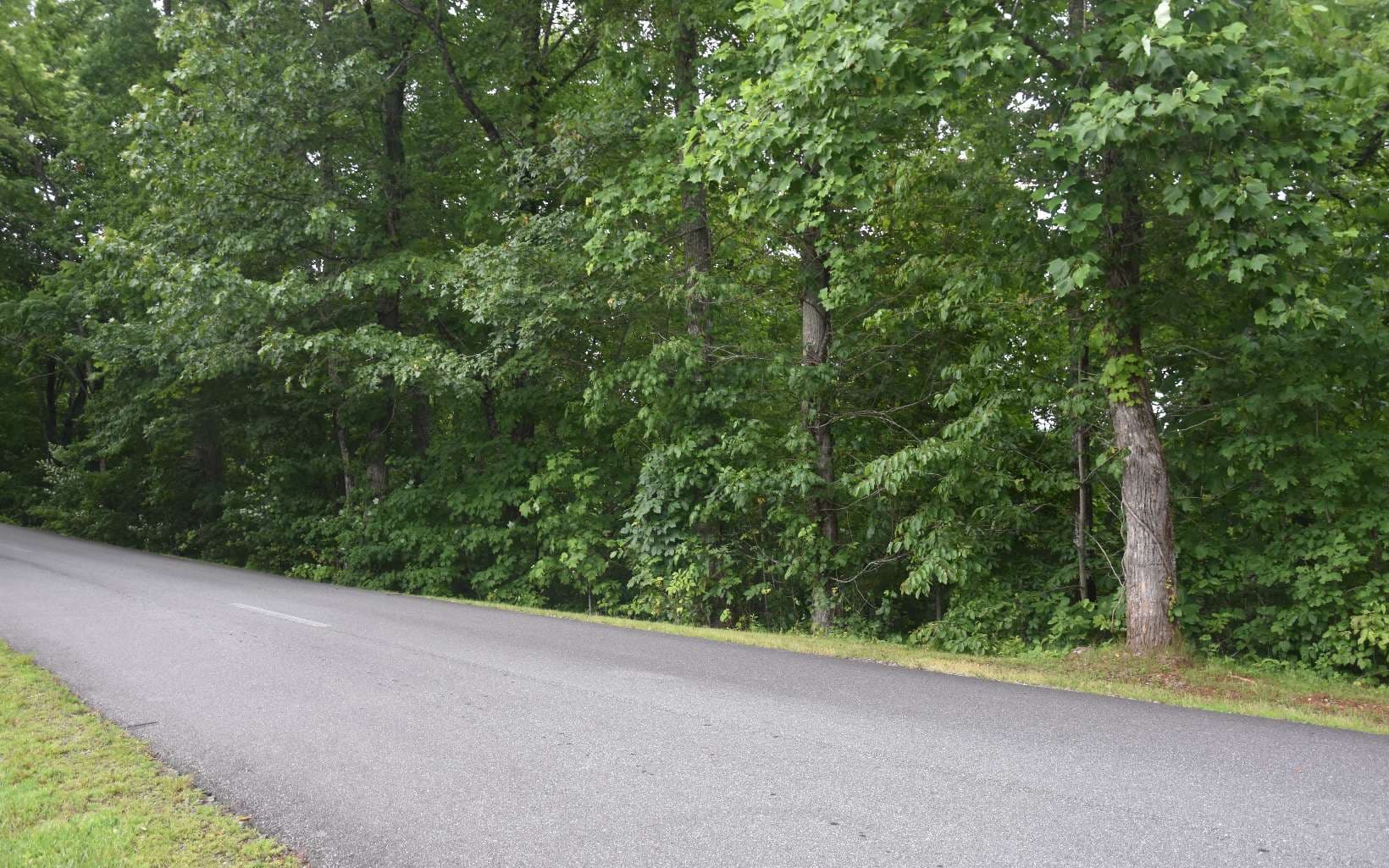 85A Licklog Ridge, Hayesville NC 28904 - Photo