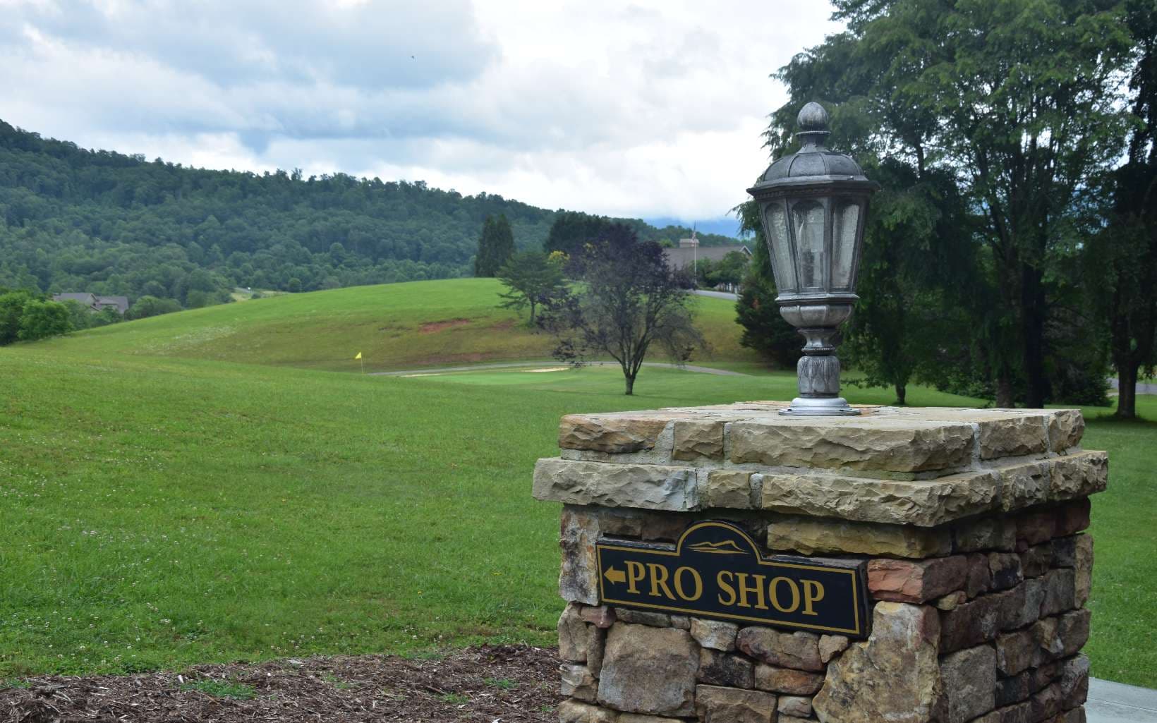 85A Licklog Ridge, Hayesville NC 28904 - Photo